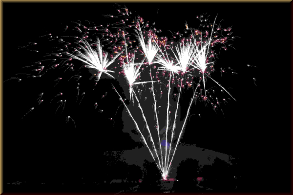 NICO Europe 13521 Silver Coconut, 6 Schuss - Bild 1